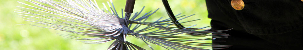 Banner - Wolfgang Roderer